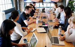 Tưởng AI sẽ thay lao động phổ thông trước, nhưng dữ liệu mới lại chỉ sang một nhóm nghề khác