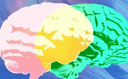 Grammarly ra mắt tính năng AI mới: 'chuyên gia' đưa lời khuyên, nhưng liệu có phải thật?