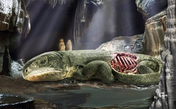 Bí ẩn trong hang tối: Xác ướp 289 triệu năm vạch trần "cỗ máy" hô hấp của nhân loại