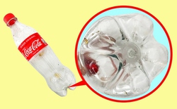 Tại sao hầu hết các chai nước ngọt bằng nhựa đều có cấu trúc hình cánh hoa ở đáy?