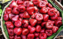 Không ai nghĩ tới khi giảm cân: Loại quả Việt bán đầy chợ này lại giúp ăn vặt mà không sợ béo