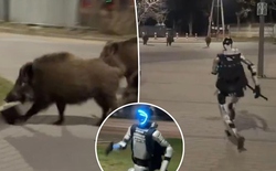 Robot hình người truy đuổi lợn rừng gây sốt mạng xã hội, phía sau là chiến dịch marketing gây tranh cãi toàn cầu