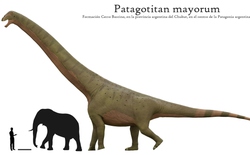Lộ diện “quái vật” 77 tấn dài 40 mét: Khủng long Patagotitan thách thức danh hiệu sinh vật lớn nhất từng tồn tại