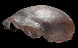 Hộp sọ được cho là của người lai Neanderthal, từng gây chấn động khoa học: Nghiên cứu mới hé lộ sự thật bất ngờ