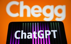 Công ty đầu tiên chính thức bị AI xóa sổ: Vốn hóa từ 14,7 tỷ USD xuống còn 114 triệu USD chỉ trong hơn 3 năm