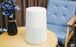 Trải nghiệm LG Aero Mini: Từ máy lọc không khí nhỏ gọn "biến hình" thành bàn trà cho tới... lọ cắm hoa