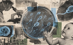 Bước ngoặt y học gây chấn động: Phòng thí nghiệm lần đầu tạo tinh trùng người, mở hy vọng cho nam giới vô tinh