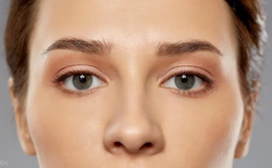 Vì sao tự nhiên lại độc lập phát triển và tiến hóa đi tiến hóa lại đôi mắt đến hơn 40 lần?