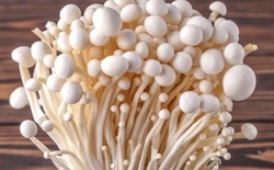 6 loại rau "ngậm" nhiều thuốc trừ sâu nhất chợ, phải lựa thật kỹ khi mua: Toàn món quen thuộc của người Việt