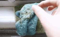 Nhà trông rất sạch nhưng 6 thứ này đang sinh vi khuẩn 24/7 mà bạn không hề biết