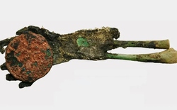 Bí ẩn khảo cổ về bàn tay xanh nắm chặt đồng xu tại nghĩa trang bỏ hoang Hungary