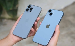 Chiếc iPhone cũ đáng mua nhất lúc này