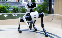 Doanh thu đạt gần 14 triệu USD chỉ sau 20 ngày: Tại sao sản phẩm chó robot tại Trung Quốc lại gây sốt?