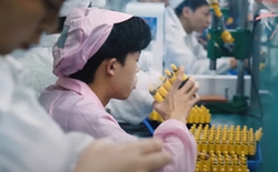 Công nhân gây sốc khi thử tới 10.000 chiếc vape mỗi ngày