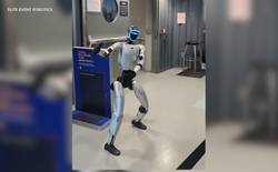 Robot hình người Bebop gây náo loạn và làm chậm chuyến bay vì mang theo pin 'cấm'
