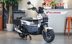 Từng bị chê "hớ nặng", mẫu Honda này nay lại trở thành món hàng lạ được săn tìm