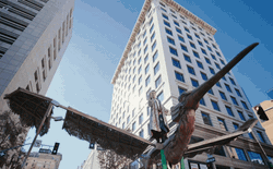 Sơn Tùng M-TP mất bao nhiêu tiền để chặn 1 ngã tư ở trung tâm Los Angeles quay mô hình chim Lạc?