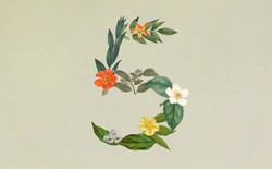 Anthropic ra mắt Claude Sonnet 5: Ngang ngửa Opus 4.8 nhưng giá chỉ bằng một nửa