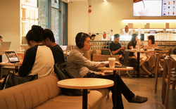 Nhạc quán mở cho ai nghe?