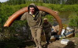 Bí ẩn rùng rợn đằng sau cơn sốt săn lùng xác voi ma mút Siberia
