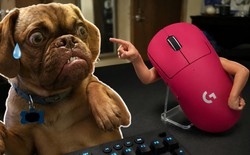 Ví khách hàng như.. cún trên Douyin, nhà phân phối của Logitech bị phạt gần 800 triệu đồng