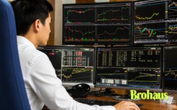 Không phải tiền, đây mới là điều giữ chân mọi người ở lại thị trường chứng khoán