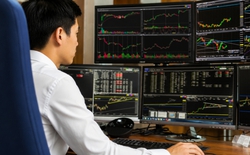 Không phải tiền, đây mới là điều giữ chân mọi người ở lại thị trường chứng khoán