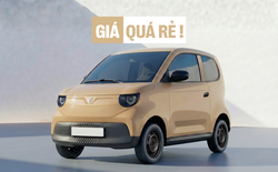 VinFast VF 2 mở bán tại Việt Nam: Chốt giá 188 triệu đồng luôn pin, sạc đầy đi hơn 200 km, giao xe từ tháng 9/2026
