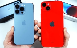 Hai chiếc iPhone cũ đáng mua hiện nay