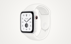 Cứ tưởng đã khai tử gần 7 năm, Apple Watch phiên bản ceramic sẽ được bán ra trong năm nay?