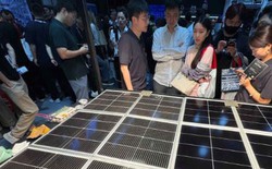 Lỗ hai năm liên tiếp, giá bán rớt một nửa: Cuộc chiến sinh tồn của ngành pin mặt trời Trung Quốc