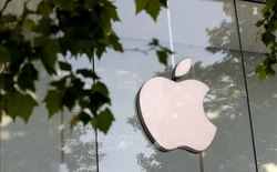 Mỹ không muốn Apple sử dụng chip nhớ của Trung Quốc