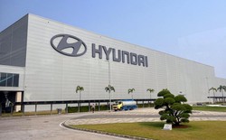 Hyundai phải xây nhà máy trước mới được bán xe, còn hãng Trung Quốc làm ngược lại