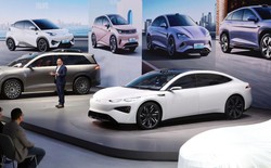 542 mẫu xe mới trong 5 tháng: Phó Chủ tịch BYD mô tả tốc độ ra xe mới của Trung Quốc là "tàn khốc"