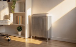Không khí sạch theo cách riêng: LG mở rộng lựa chọn cho từng không gian sống hiện đại