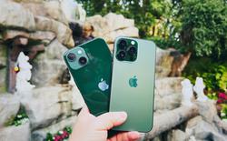 Chiếc iPhone cũ đáng mua nhất lúc này