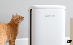Trải nghiệm Levoit Vital Pet Pro: Máy lọc không khí cần có cho hội con sen yêu boss lắm lông