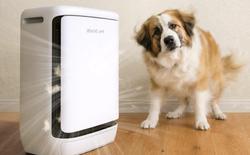 Levoit Vital Pet Pro: “Mổ xẻ” chiếc máy lọc không khí thú cưng hàng đầu phân khúc