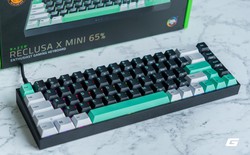 Trên tay Razer Reclusa X Mini 65%: Bàn phím cơ rẻ nhất lịch sử Razer, hỗ trợ hot-swap và nhiều tính năng gaming “xịn sò”