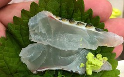 Một loại cá rẻ bèo bán đầy chợ Việt Nam, dinh dưỡng vượt cá hồi, được người Nhật tăng mua để làm sashimi
