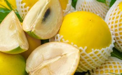1 loại quả ngọt tốt ngang nhân sâm, chỉ duy nhất Việt Nam xuất khẩu trên thế giới: Hạ đường huyết, bổ máu, tốt cho xương khớp