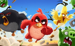 Nhà sản xuất Angry Birds chuẩn bị IPO, từ chối đề nghị mua lại trị giá 3 tỷ USD từ Tencent?