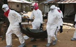 Tổ chức Y tế thế giới công bố đại dịch chết người Ebola đã quay trở lại