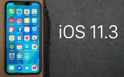 Apple chính thức phát hành iOS 11.3, cho phép người dùng tắt tính năng làm chậm máy khi pin chai, bổ sung thêm Animoji mới, cải thiện pin và hiệu năng