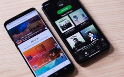 So sánh Spotify và Zing MP3: Dịch vụ nhạc số nào dành cho bạn?
