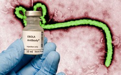 Đột phá: Các nhà khoa học tuyên bố đã chữa được Ebola