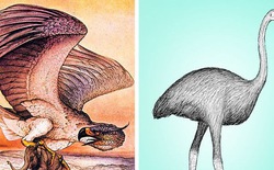 7 sinh vật huyền thoại tưởng chỉ có ở phim ảnh nhưng lại từng làm mưa làm gió Trái Đất trong quá khứ,