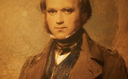 Chúc mừng sinh nhật Charles Darwin, cha đẻ của thuyết tiến hóa