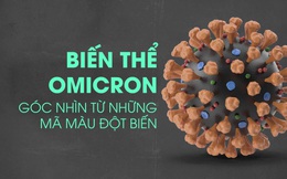 Giải mã biến thể Omicron: Góc nhìn từ những mã màu đột biến