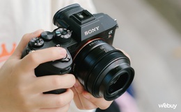Trải nghiệm Sony 50mm F/2.5 G: Ống kính đa dụng với mức độ hoàn thiện cao